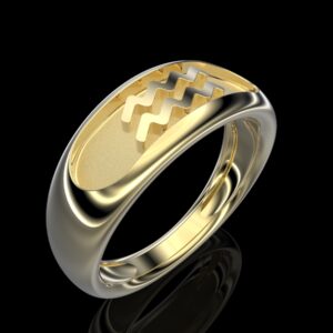 Aquarius ring 18k yellow gold Aquarius glyph high relief