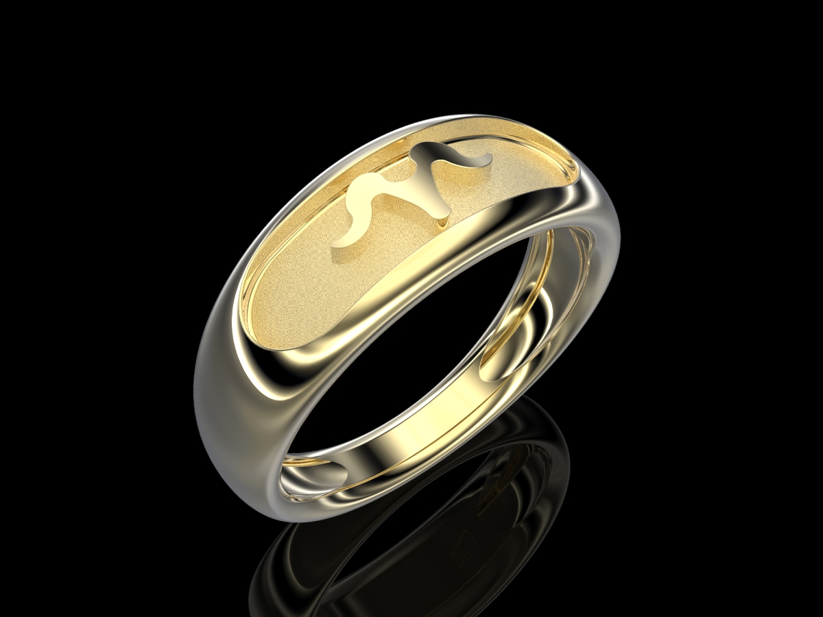 Aries R AuY Aries ring 18k yellow gold Aries glyph raised relief oval face