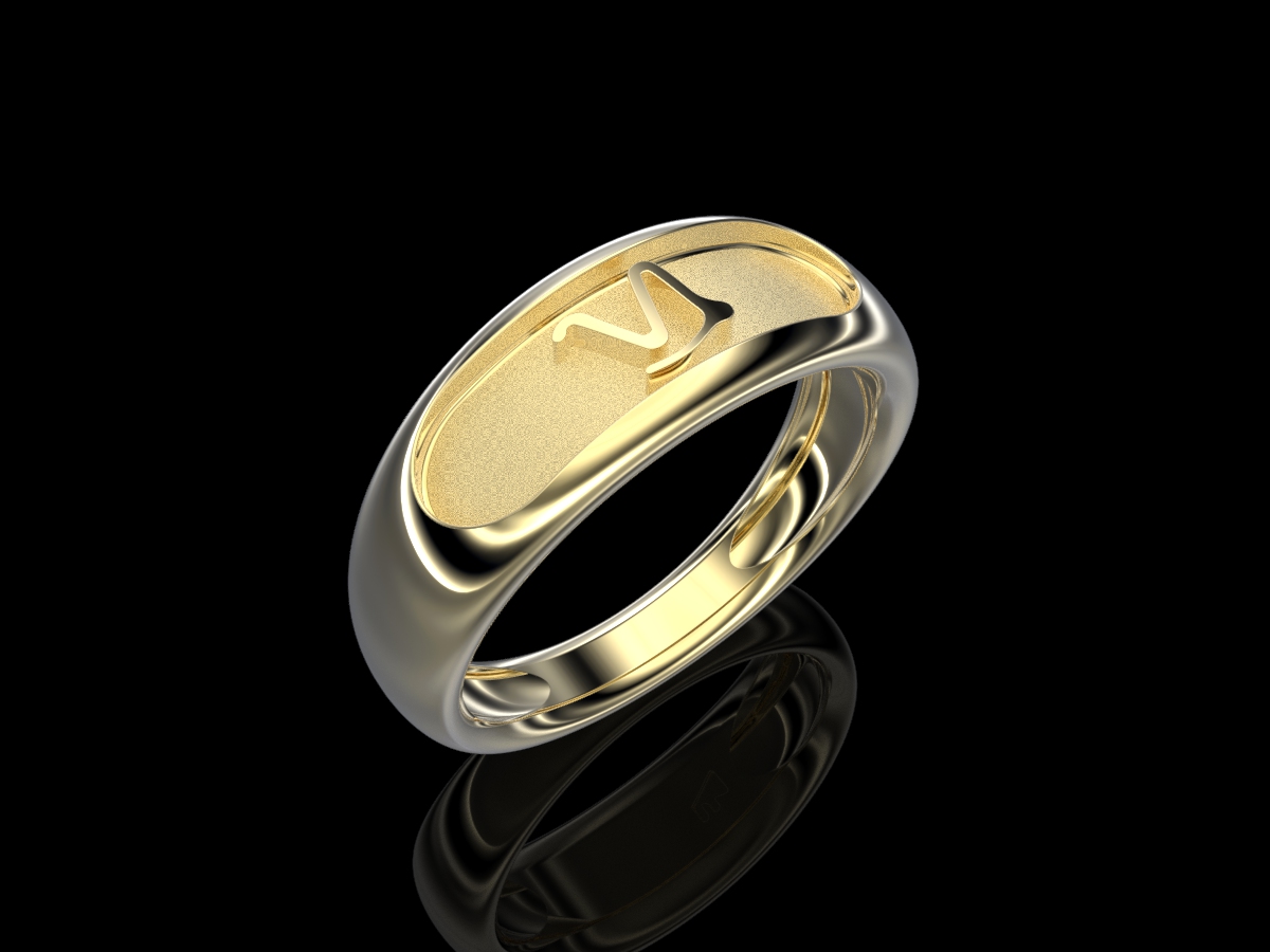 Capricorn R AuY Capricorn Ring - Image 1
