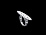 Linnunreet Rings - Image 3