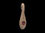 Yaksheen Pendant - Image 4