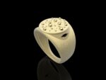 Gwydion Ring