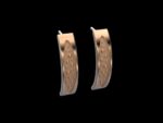Juno Earrings - Image 2