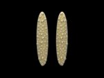 Omphalus Earrings