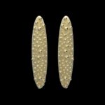 Omphalus Earrings
