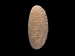 Ransse Pendant - Image 4