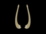 ThuanThien Earrings