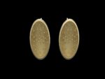 Tianquiztli Earrings